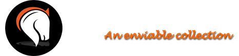 White Horse Equestrian